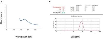 Silver Nanoparticles Biosynthesized With Salvia officinalis Leaf Exert Protective Effect on Hepatic Tissue Injury Induced by Plasmodium chabaudi